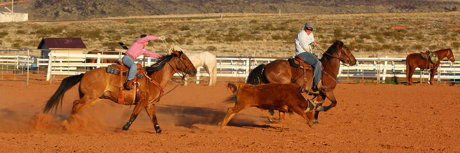 Roping