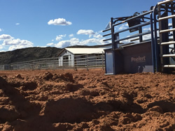 Roping and Barrel Racing Arena