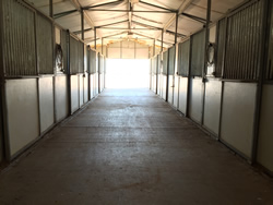 Horse Stalls